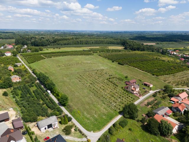 dom wolnostojący, 6 pokoi Skrzypaczowice. Zdjęcie 29