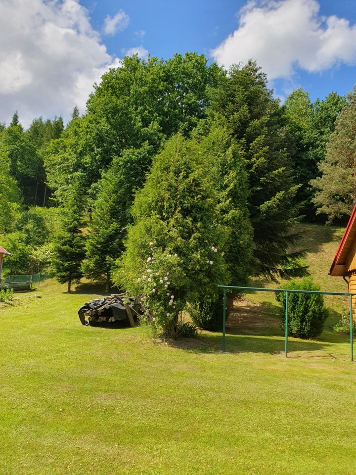 dom wolnostojący, 4 pokoje Wietrzno. Zdjęcie 4