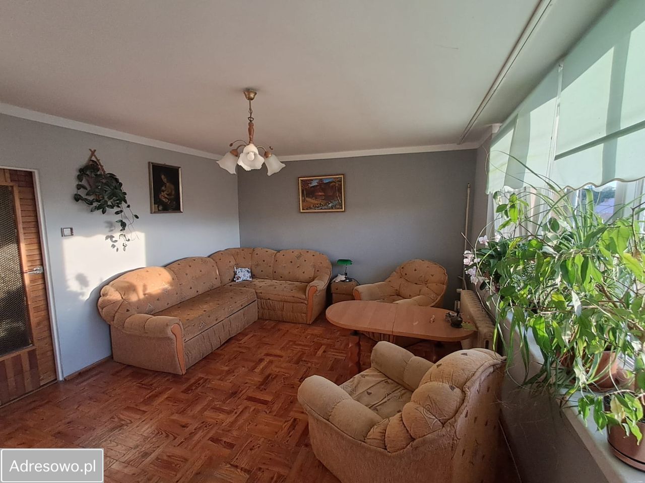 Mieszkanie 2-pokojowe Wołów