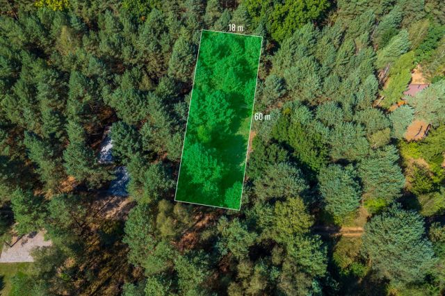 Działka rekreacyjna Sianno. Zdjęcie 1