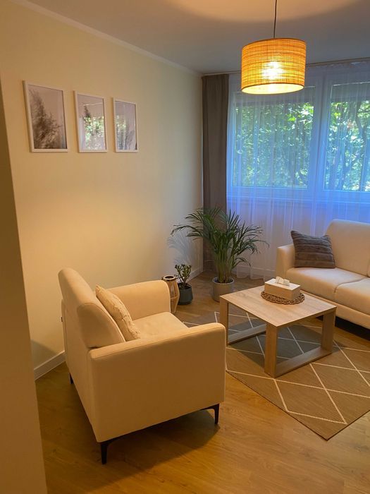 Lokal Wrocław Stare Miasto. Zdjęcie 3