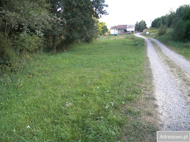 Działka budowlana Wielopole Skrzyńskie. Zdjęcie 5