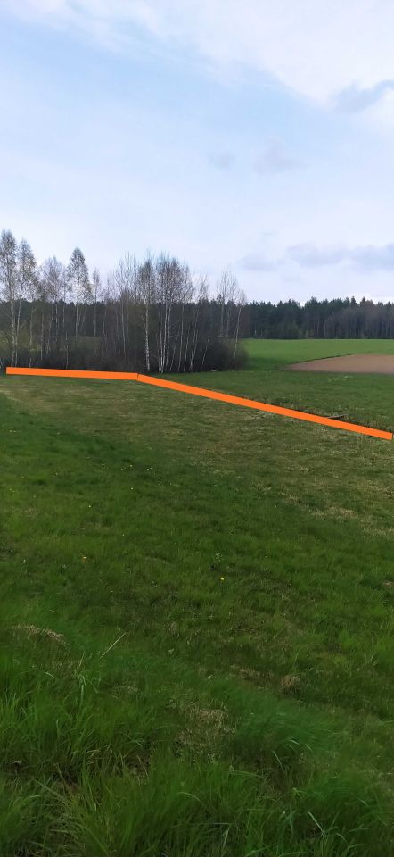 Działka Grauże Nowe. Zdjęcie 2