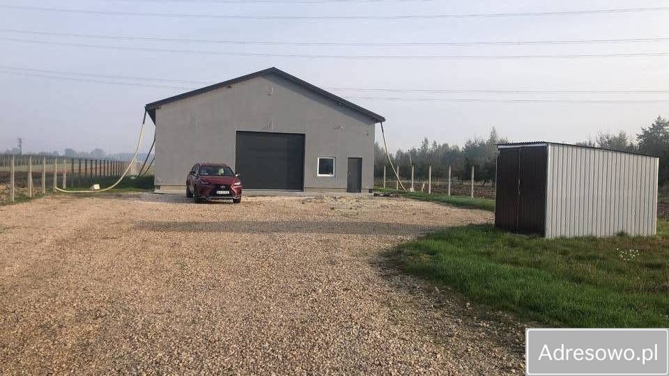 Hala/magazyn Grzybów Nowy Grzybów. Zdjęcie 2