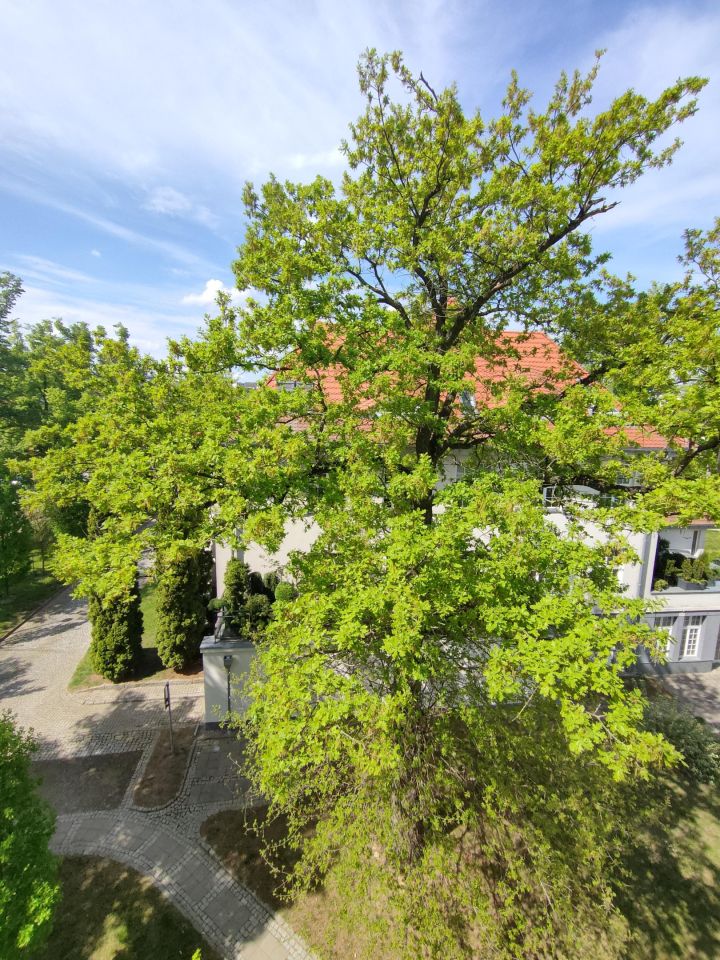 Mieszkanie 4-pokojowe Szczecin Żelechowa, ul. Ostrowska. Zdjęcie 16