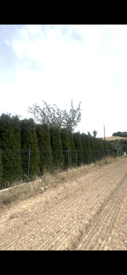 Działka budowlana Dobrocin, ul. Kościuszki. Zdjęcie 5