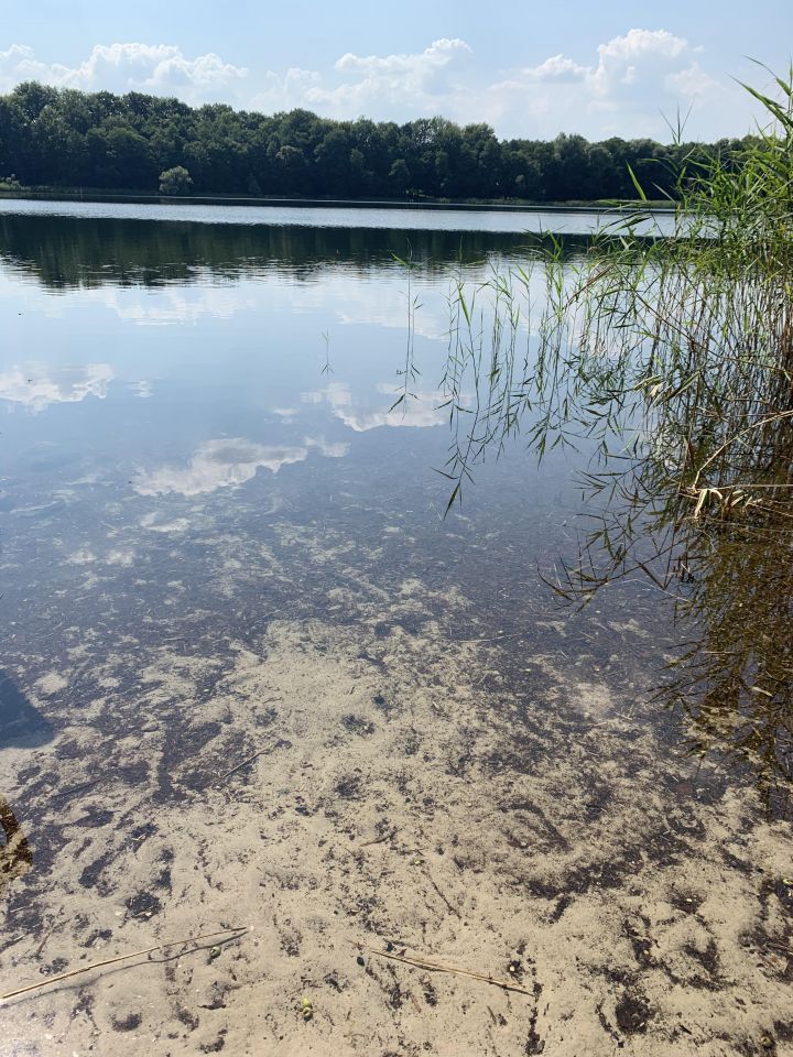 Działka budowlana Drawsko Pomorskie, ul. Polna. Zdjęcie 6