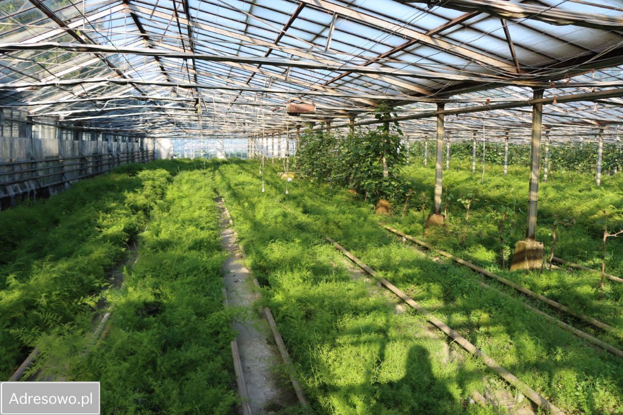 Działka rolna Antoniówka Świerżowska. Zdjęcie 7