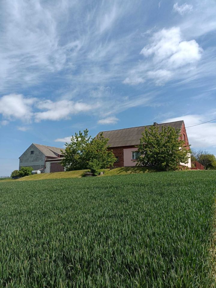 gospodarstwo Morzeszczyn. Zdjęcie 2