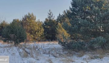 Działka budowlana Łochowo, ul. Władysława Reymonta