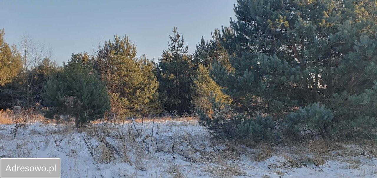 Działka budowlana Łochowo, ul. Władysława Reymonta. Zdjęcie 2