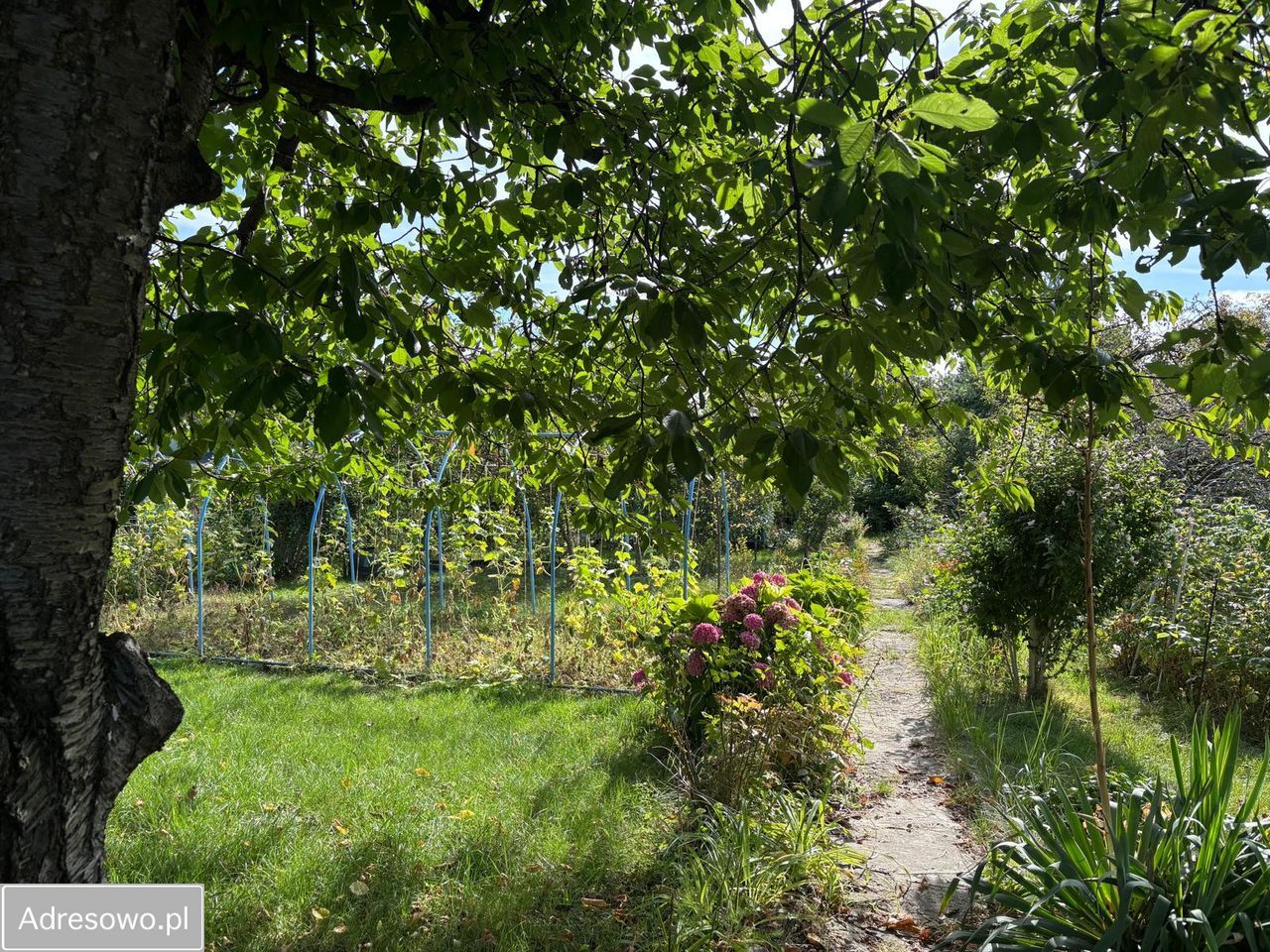 Działka rekreacyjna Sosnowiec Pogoń. Zdjęcie 9