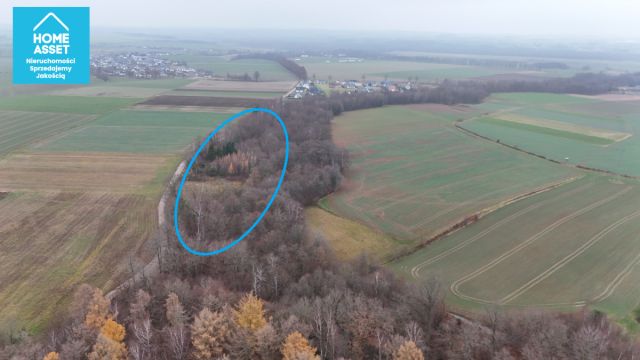 Działka budowlana Werblinia, ul. Leśna. Zdjęcie 7