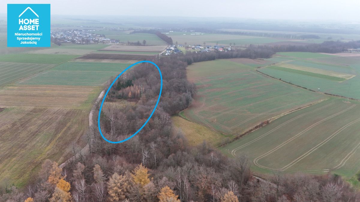 Działka budowlana Werblinia, ul. Leśna. Zdjęcie 7