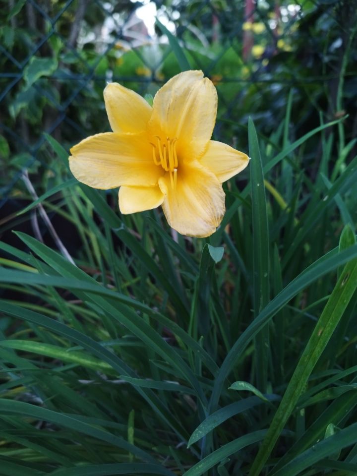 Działka rod Stalowa Wola. Zdjęcie 5