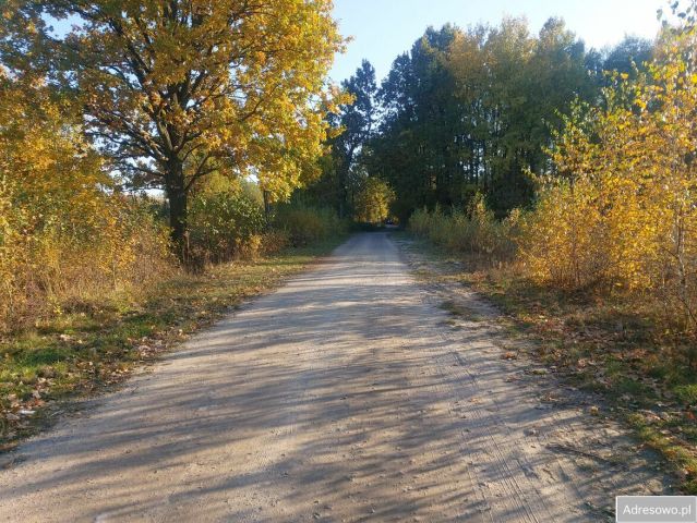 Działka rolna Józefin, ul. Szyszkowa. Zdjęcie 1