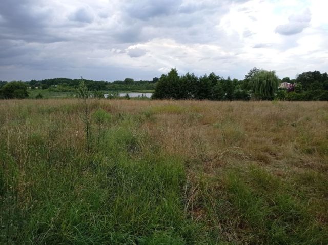 Działka budowlana Poznań Stare Miasto, ul. Umultowska. Zdjęcie 6