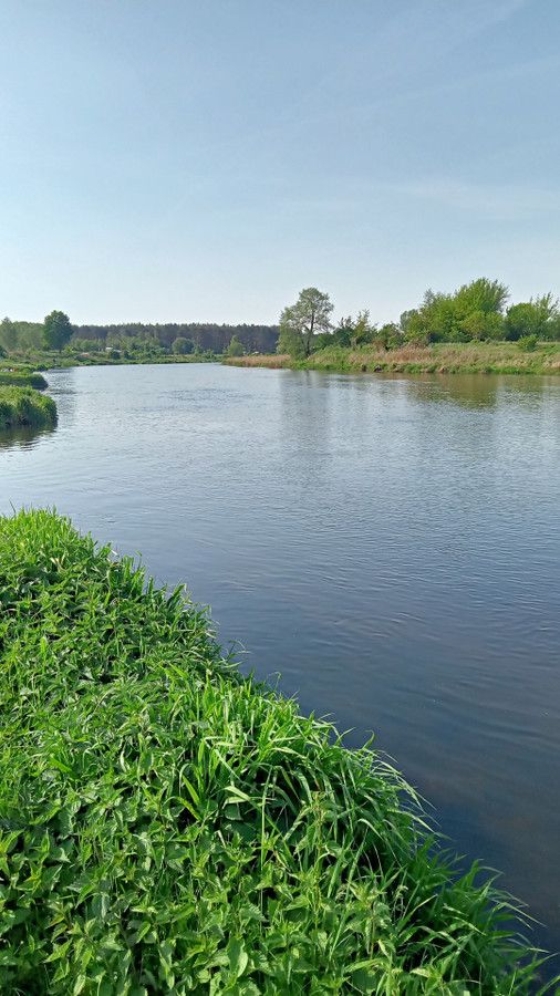 Działka rolna Skęczniew. Zdjęcie 7