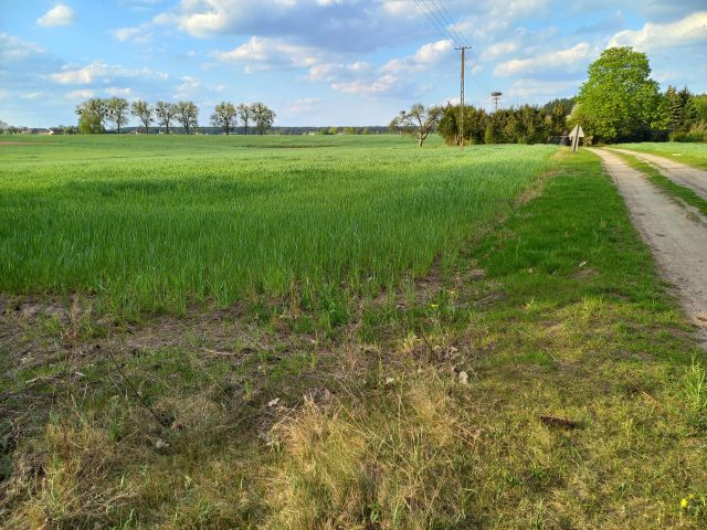 Działka budowlana Dębowiec. Zdjęcie 1