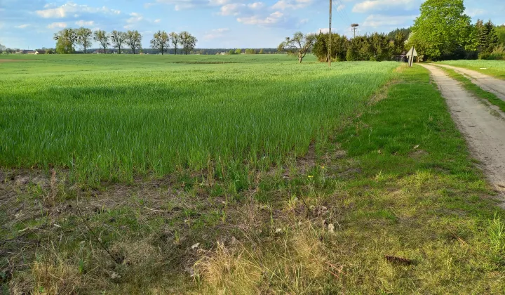 Działka budowlana Dębowiec