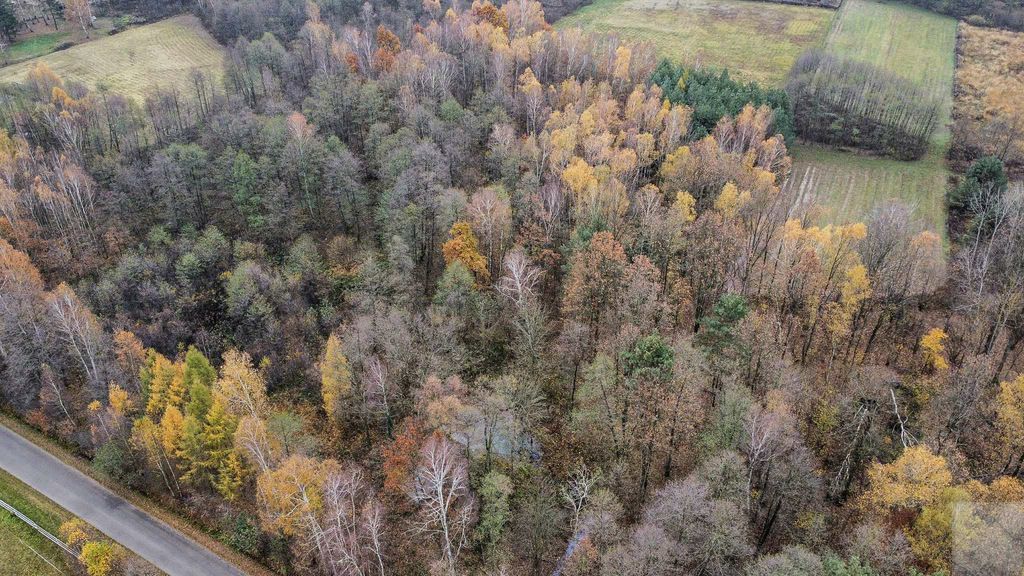 Działka Majdan Sieniawski. Zdjęcie 13