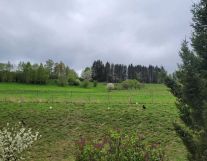 Działka budowlana Szczytna, ul. Polna. Zdjęcie 2