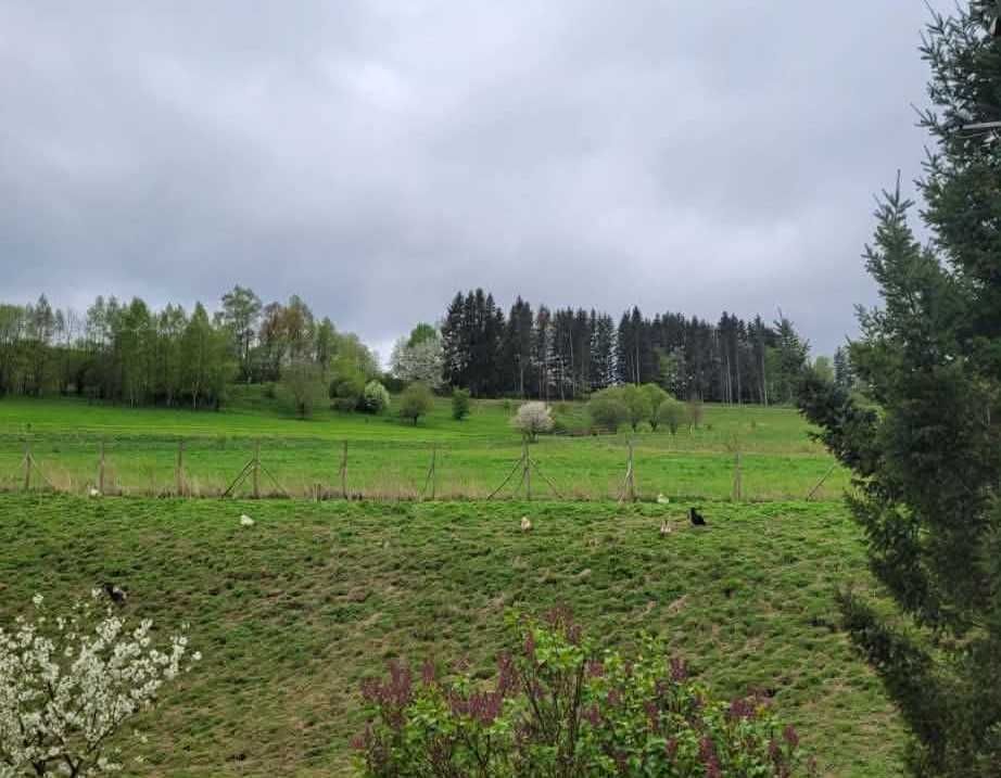 Działka budowlana Szczytna, ul. Polna. Zdjęcie 3