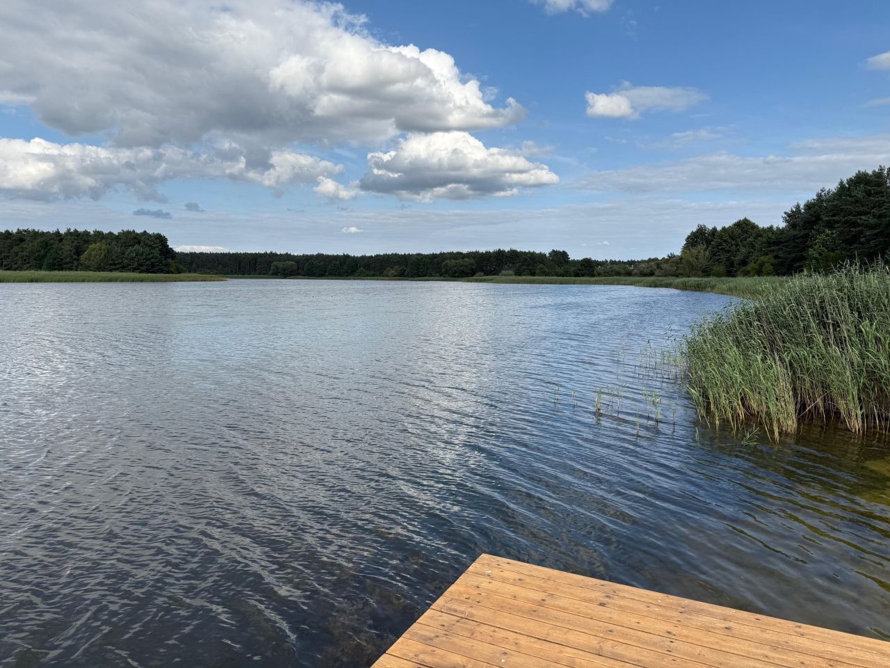 Działka budowlana Kłecko, ul. Cisowa. Zdjęcie 6
