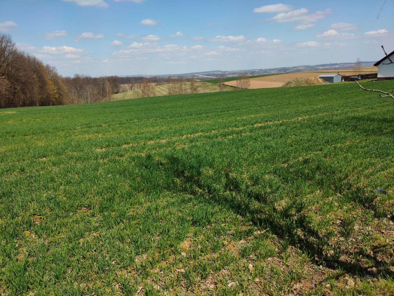 Działka budowlana Celiny. Zdjęcie 34