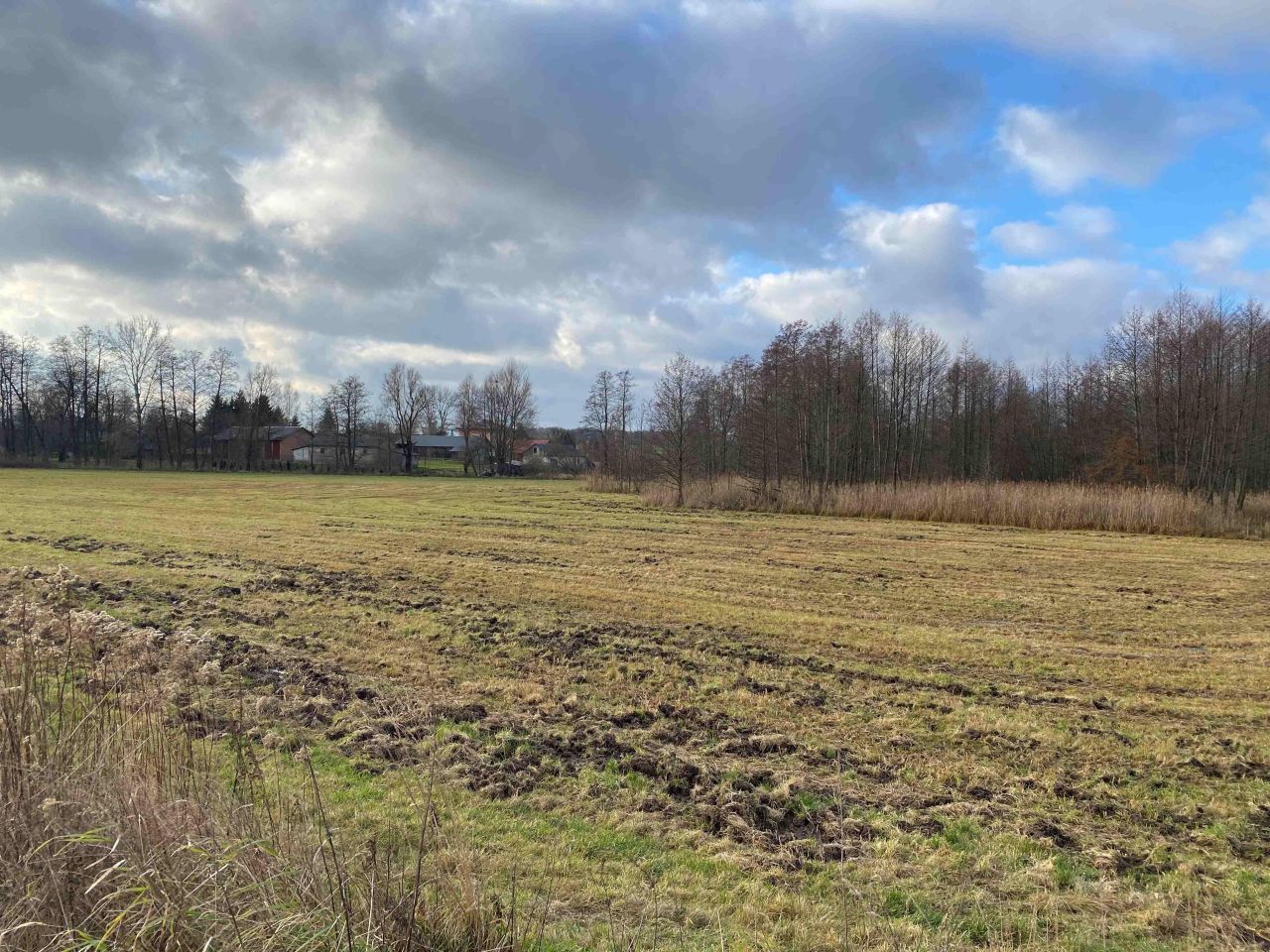 Działka rolna Tuszów. Zdjęcie 6