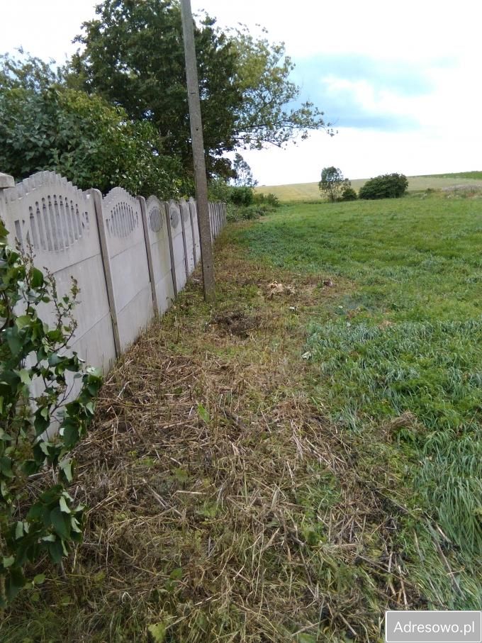 Działka rolno-budowlana Model. Zdjęcie 4