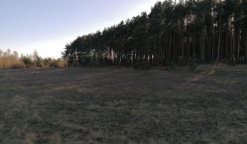 Działka budowlana Wilczeniec Fabiański