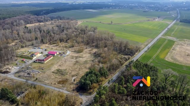 Działka inwestycyjna Bojadła, ul. Sulechowska. Zdjęcie 15
