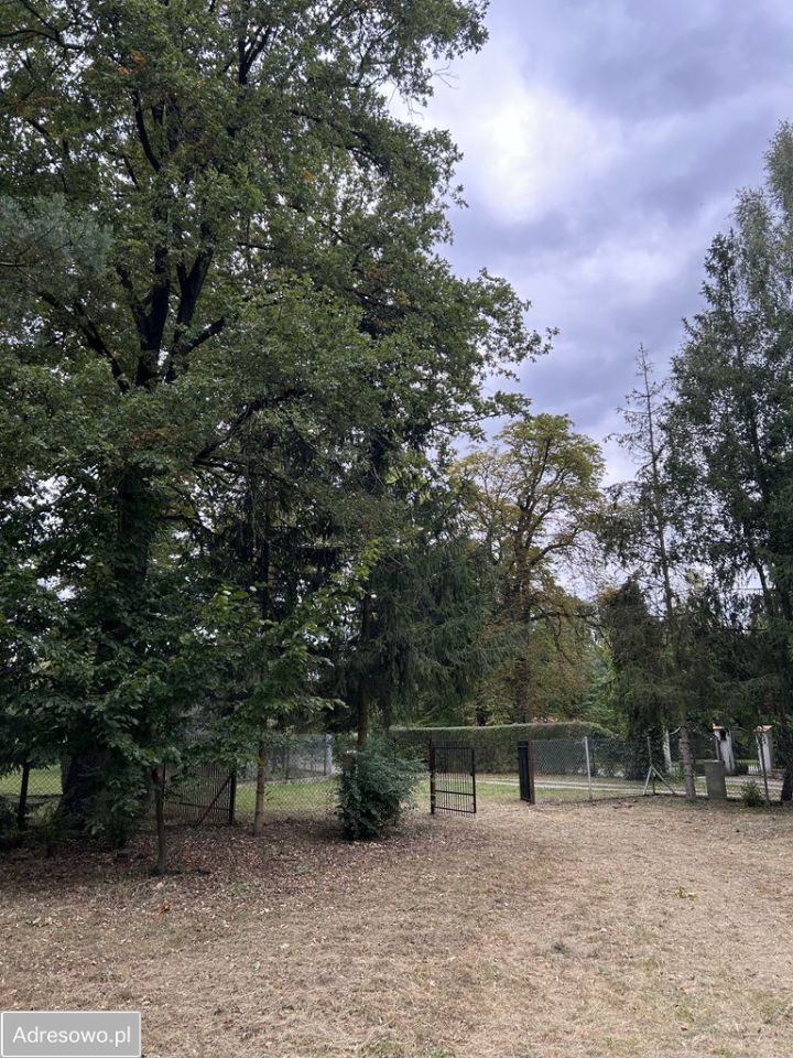 Działka budowlana Niecenia. Zdjęcie 20