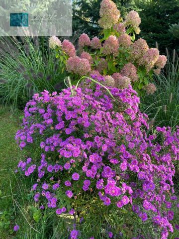 dom wolnostojący, 5 pokoi Łódź. Zdjęcie 15