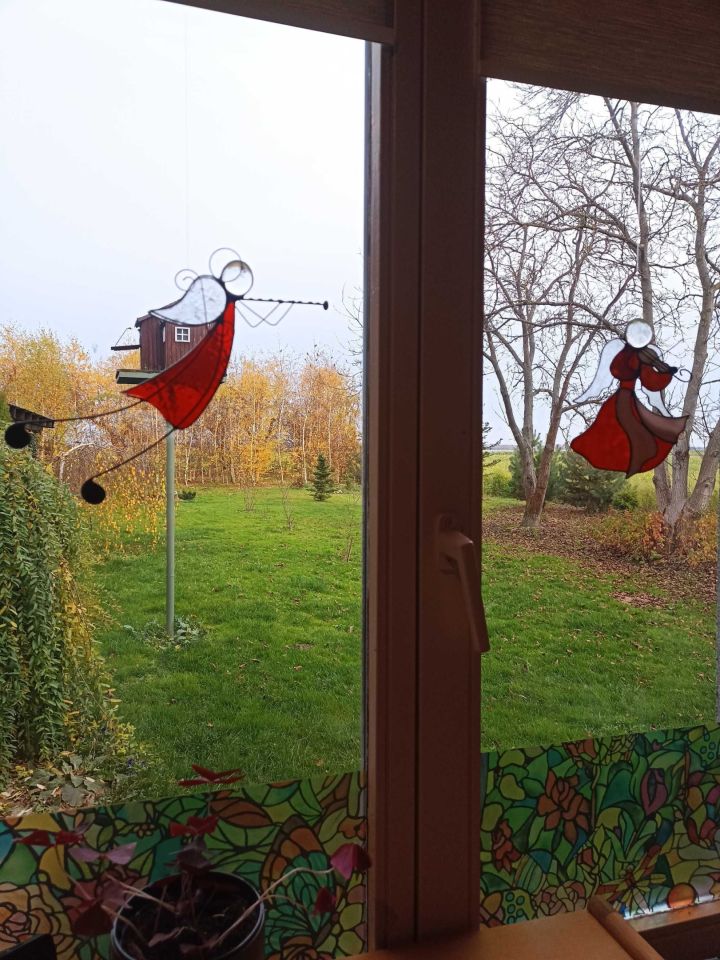 Działka rolna Karnków. Zdjęcie 5