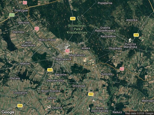 dom wolnostojący, 7 pokoi Miedniewice Topola. Zdjęcie 1