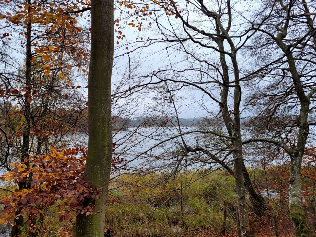 Działka rekreacyjna Jasień. Zdjęcie 3