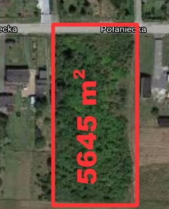 Działka budowlana Częstochowa Rząsawy, ul. Połaniecka. Zdjęcie 2