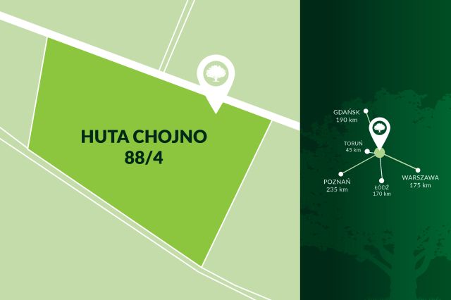 Działka rolno-budowlana Chojno. Zdjęcie 9