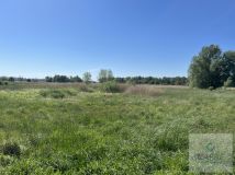 Działka rolna Zastań. Zdjęcie 4