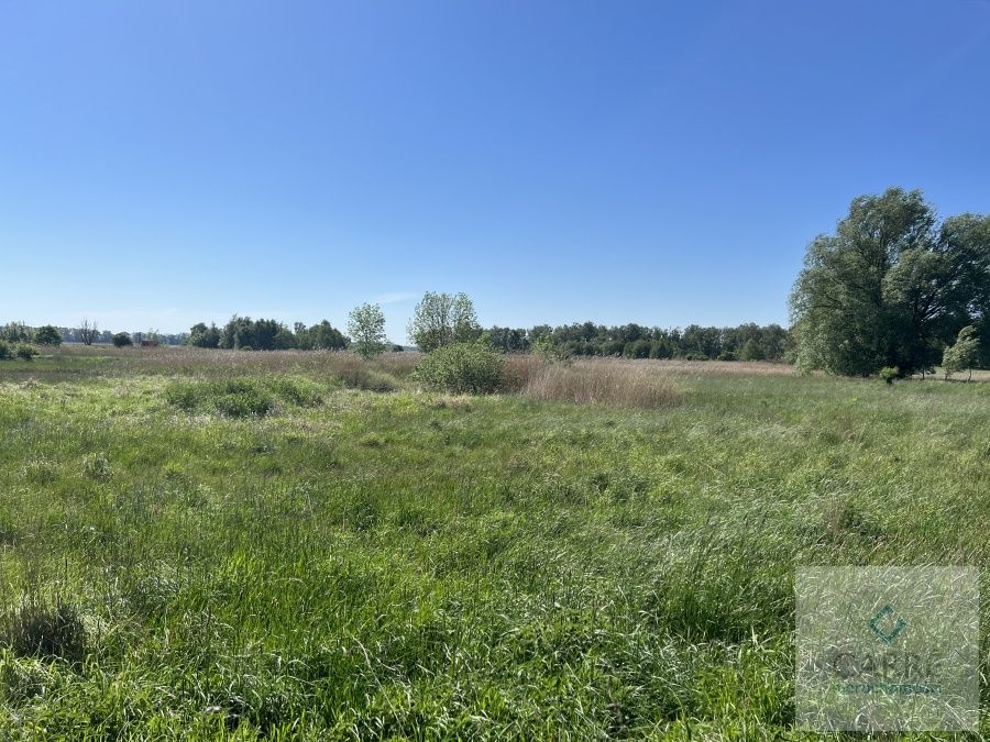 Działka rolna Zastań. Zdjęcie 6