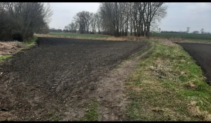 Działka budowlana Kruszwica