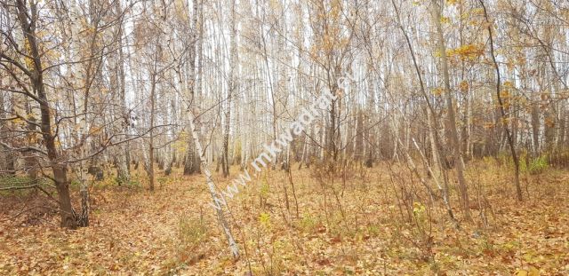Działka budowlana Holendry Baranowskie. Zdjęcie 5