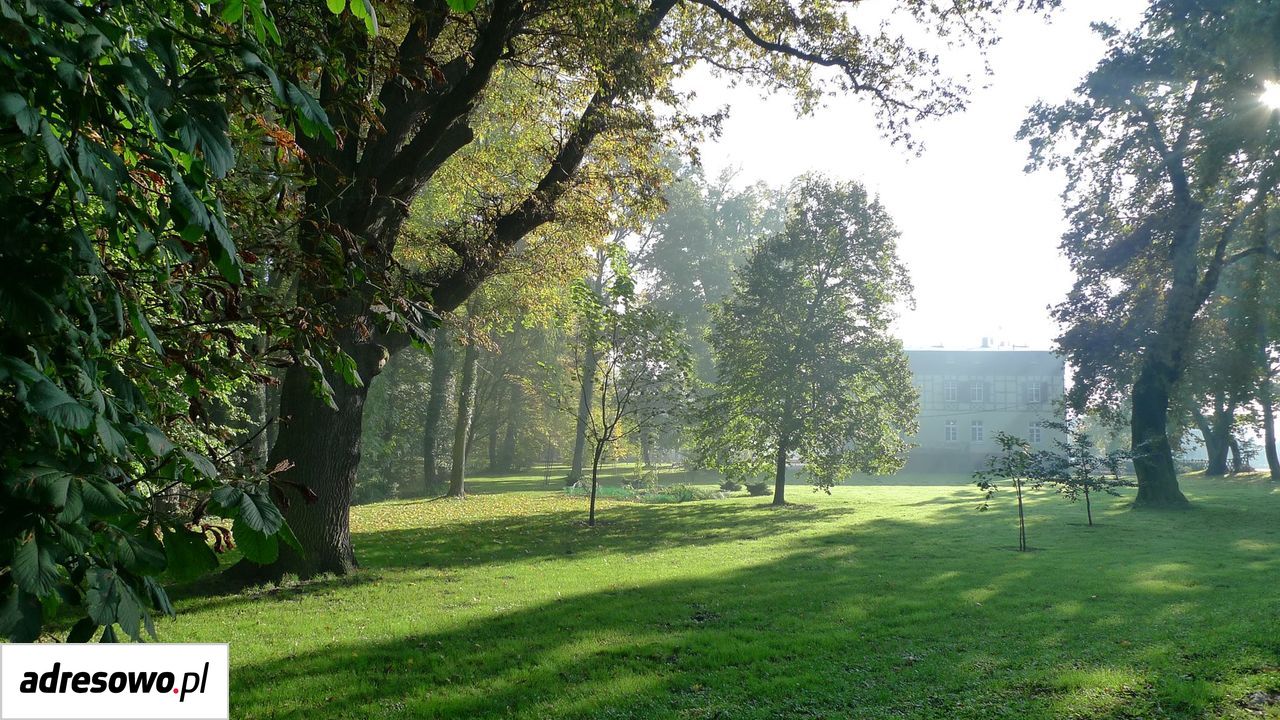 dworek, 14 pokoi Jeziorki. Zdjęcie 12