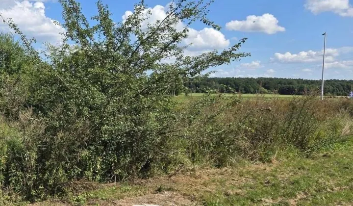 Działka budowlana Rościęcino
