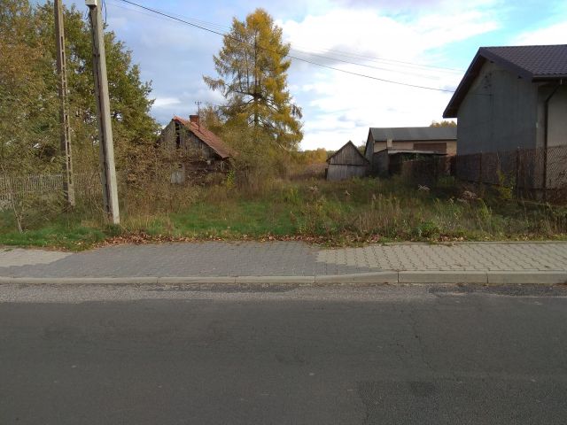 Działka rolno-budowlana Dąbrowa. Zdjęcie 1