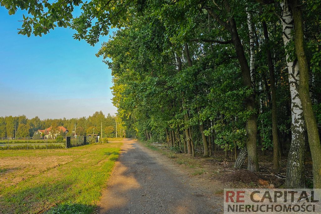 Działka budowlana Borzęcin Duży. Zdjęcie 6