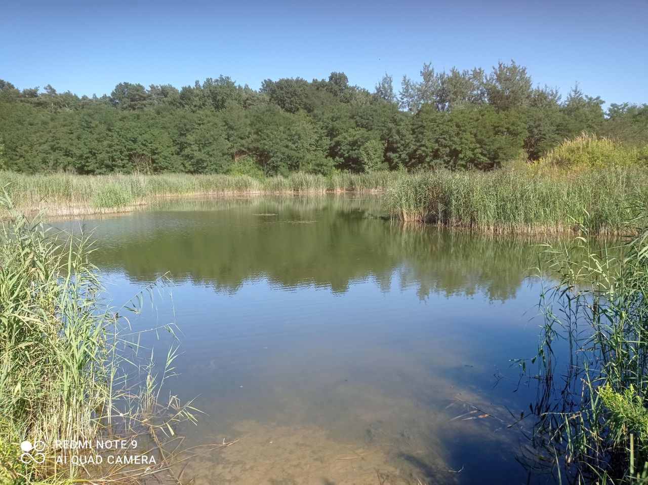 Działka rekreacyjna Ptakowice, ul. Wyzwolenia. Zdjęcie 10