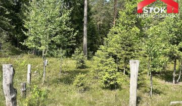 Działka leśna Rudnica